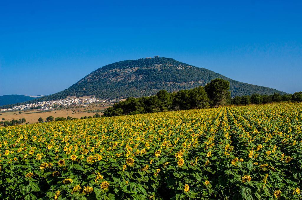 Galilee Best Location 'En Dor Exteriér fotografie